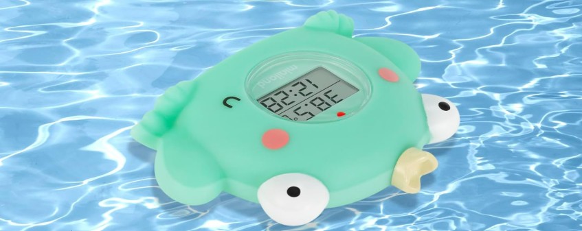 Wasserthermometer Frosch
